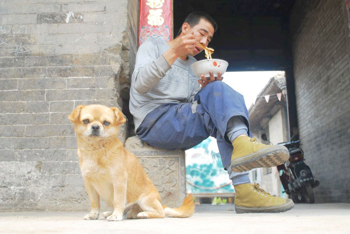 man & dog